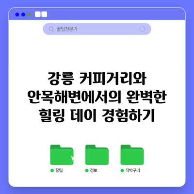 강릉 커피거리와 안목해변에서의 완벽한 힐링 데이 경험하기