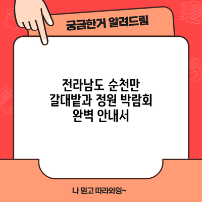 전라남도 순천만 갈대밭과 정원 박람회 완벽 안내서