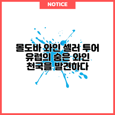 몰도바 와인 셀러 투어: 유럽의 숨은 와인 천국을 발견하다