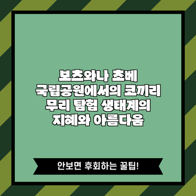 보츠와나 초베 국립공원에서의 코끼리 무리 탐험: 생태계의 지혜와 아름다움