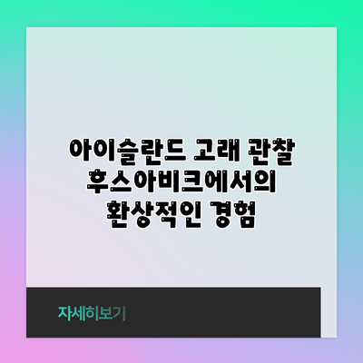 아이슬란드 고래 관찰: 후스아비크에서의 환상적인 경험