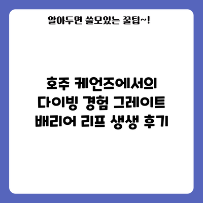 호주 케언즈에서의 다이빙 경험: 그레이트 배리어 리프 생생 후기